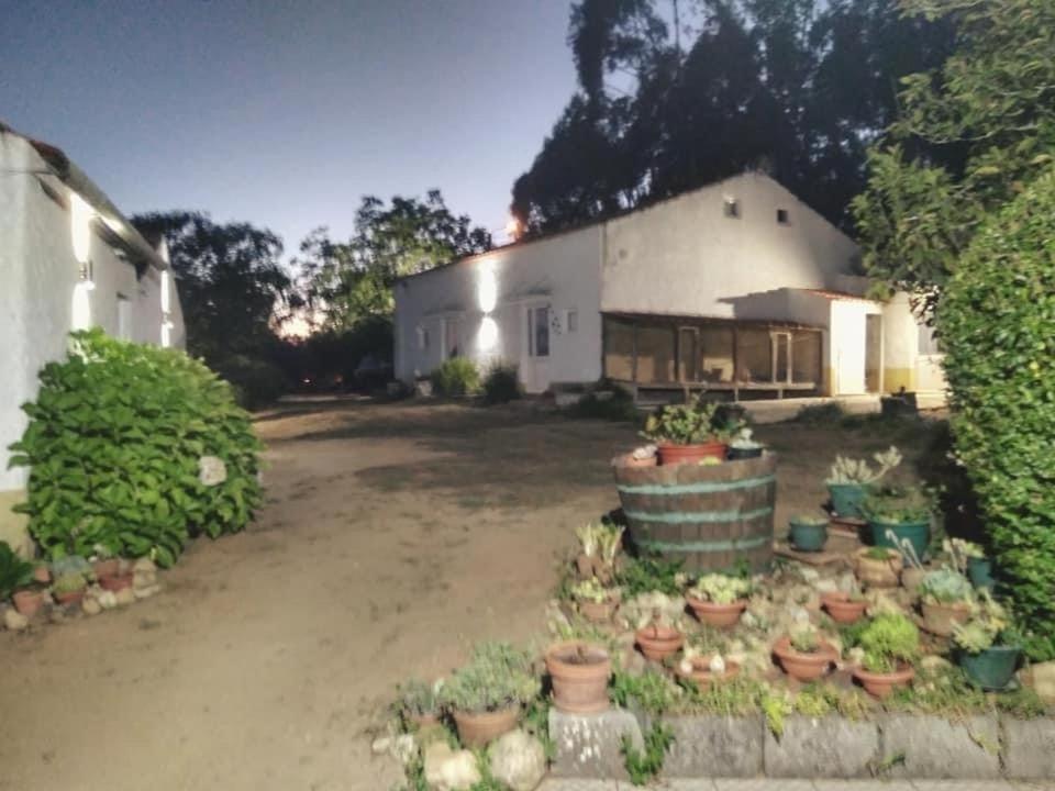 Quinta Da Mesa Villa Macinhata do Vouga ภายนอก รูปภาพ
