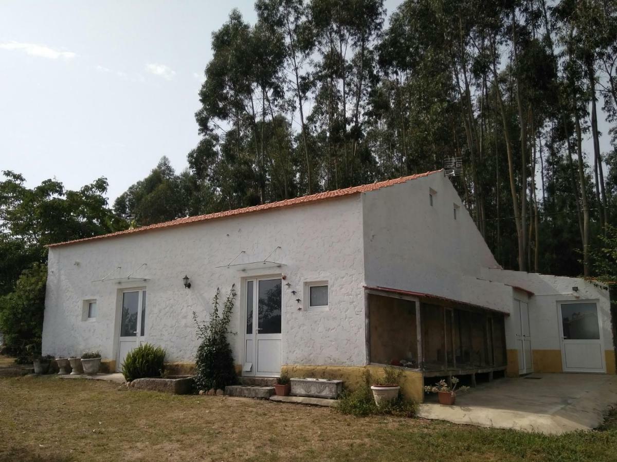 Quinta Da Mesa Villa Macinhata do Vouga ภายนอก รูปภาพ
